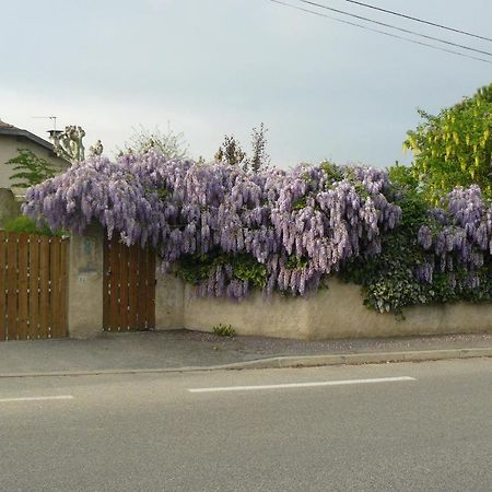 Au The A La Menthe Bed & Breakfast Romans-sur-Isere Exterior photo