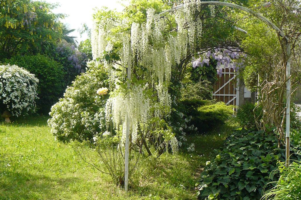 Au The A La Menthe Bed & Breakfast Romans-sur-Isere Exterior photo
